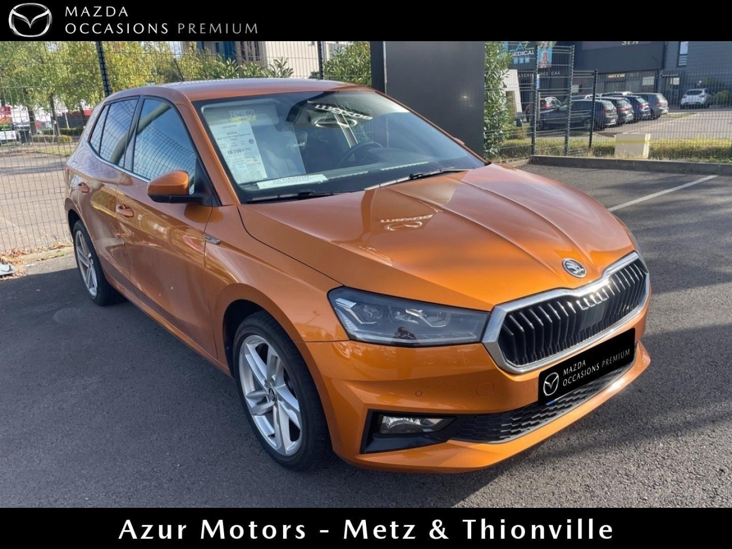 skoda - Visuel 1